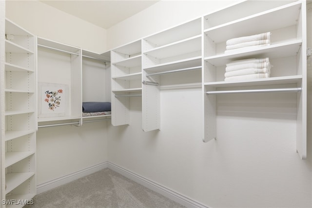 11991 Champions Green Way Unit 608, Fort Myers, FL 33913 - walk in closet featuring carpet