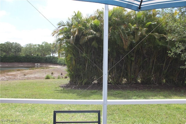 14768 Cranberry Ct, Naples, FL 34114 - view of yard