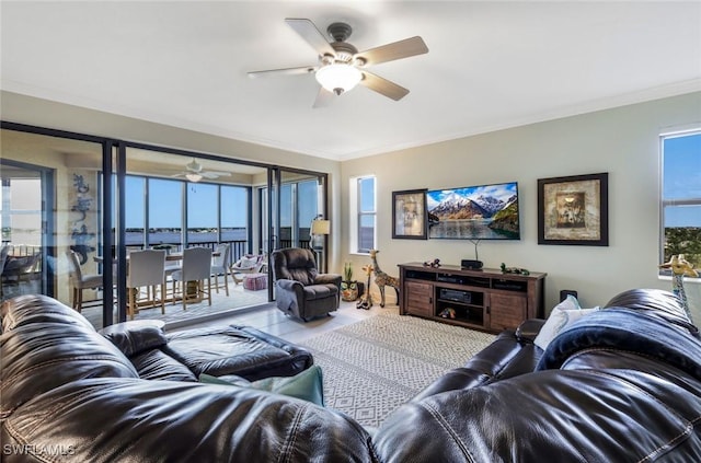 living room with crown molding and a ceiling fan