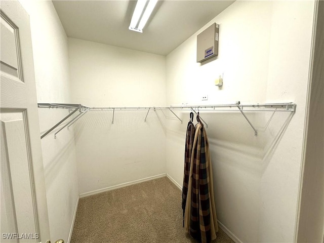 8091 Allamanda Ct, Lehigh Acres, FL 33972 - spacious closet with carpet flooring