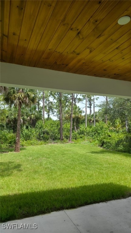 5005 Eifel Ln, Labelle, FL 33935 - view of grassy yard