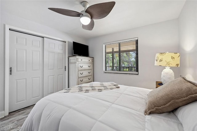 4967 Pepper Cir Unit 206, Naples, FL 34113 - bedroom with light wood-style flooring, a closet, ceiling fan, and baseboards