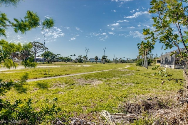 view of yard featuring a rural view