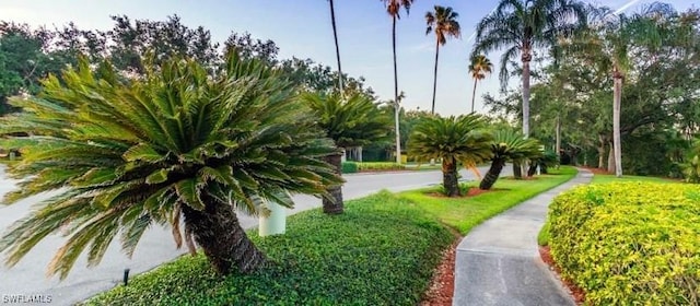 6045 Chardonnay Ln Unit 204, Naples, FL 34119 - view of community
