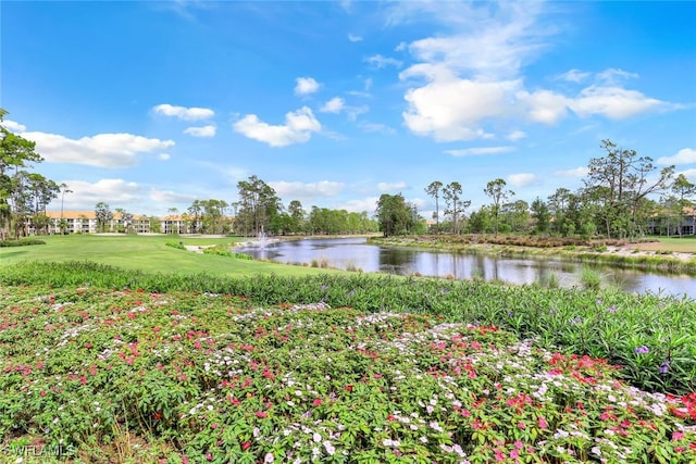 view of water feature