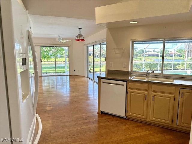 4830 Shearwater Ln, Naples, FL 34119 - kitchen with ceiling fan, a sink, light wood-type flooring, and white appliances