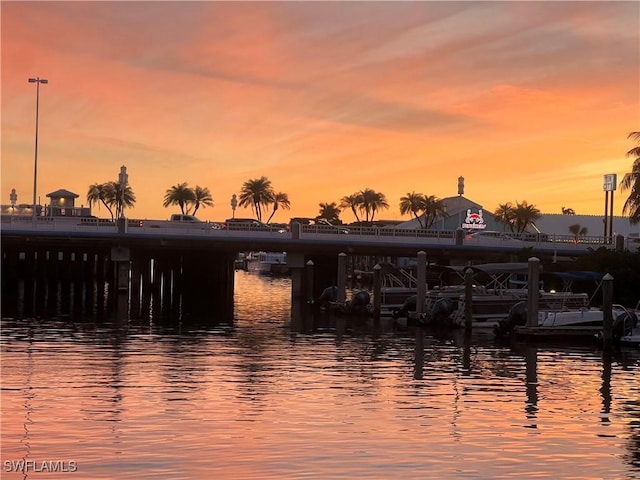 water view featuring a dock