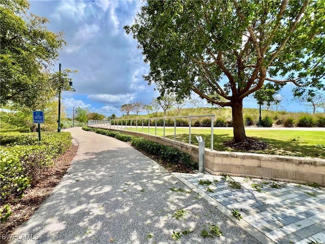 view of community featuring a lawn