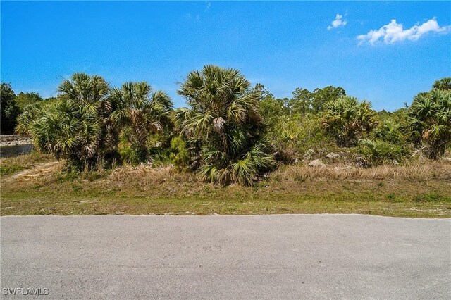 919 4th St SE, Naples, FL 34117