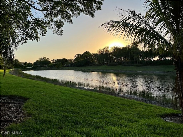 10327 Carolina Willow Dr, Fort Myers, FL 33913 - water view