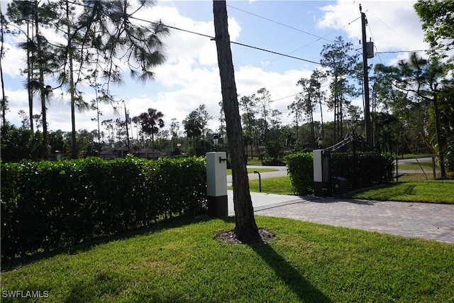 3393 21st Ave SW, Naples, FL 34117 - exterior space
