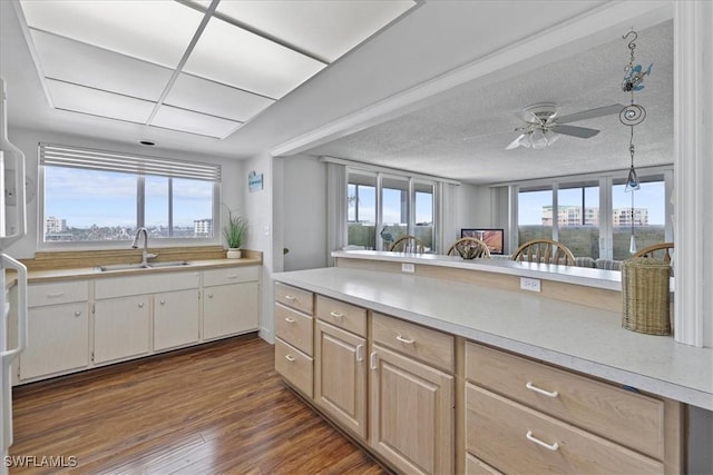 kitchen featuring light countertops, a sink, dark wood-style floors, and ceiling fan