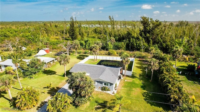 bird's eye view