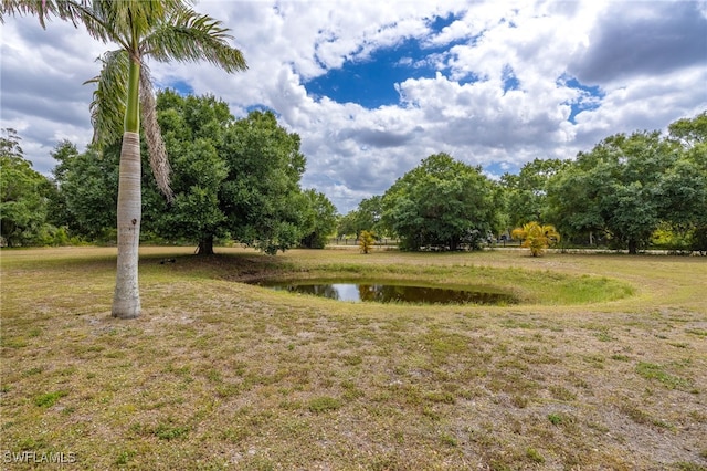 310 Trader Rd, Fort Denaud, FL 33935 - view of yard with a water view