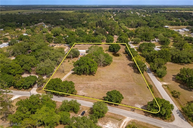 310 Trader Rd, Fort Denaud, FL 33935 - drone / aerial view featuring a forest view