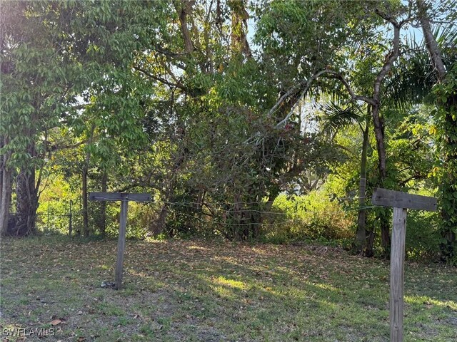 1308 Brookhill Dr, Fort Myers, FL 33916 - view of yard