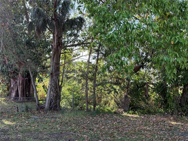 1308 Brookhill Dr, Fort Myers, FL 33916 - view of local wilderness