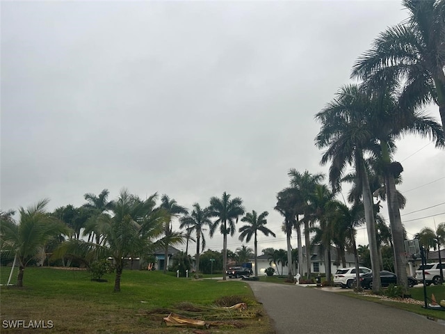 2114 SW 41st St, Cape Coral, FL 33914 - photo 4