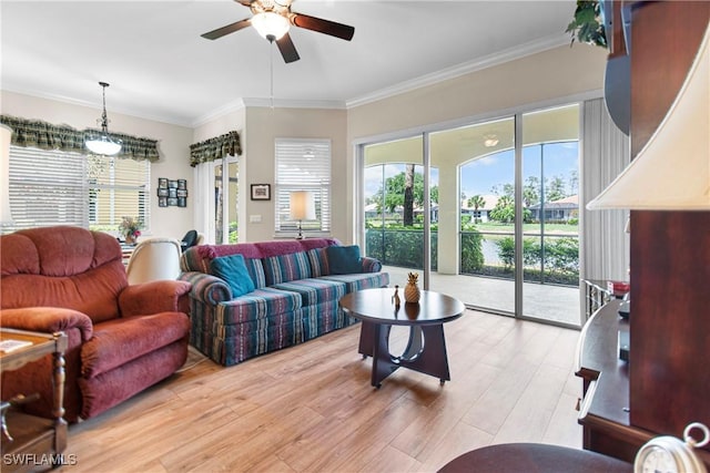 10644 Pelican Preserve Blvd # 101, Fort Myers, FL 33913 - living room featuring ceiling fan, ornamental molding, and light wood finished floors