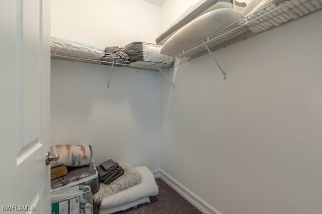 14566 Tropical Dr, Naples, FL 34114 - walk in closet featuring carpet