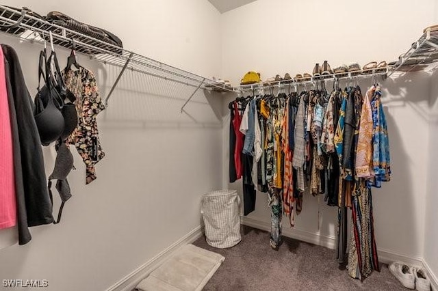 14566 Tropical Dr, Naples, FL 34114 - spacious closet featuring carpet