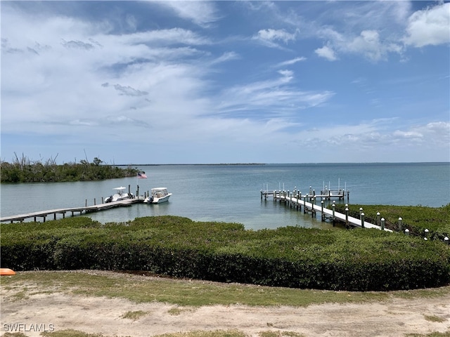 dock area with a water view