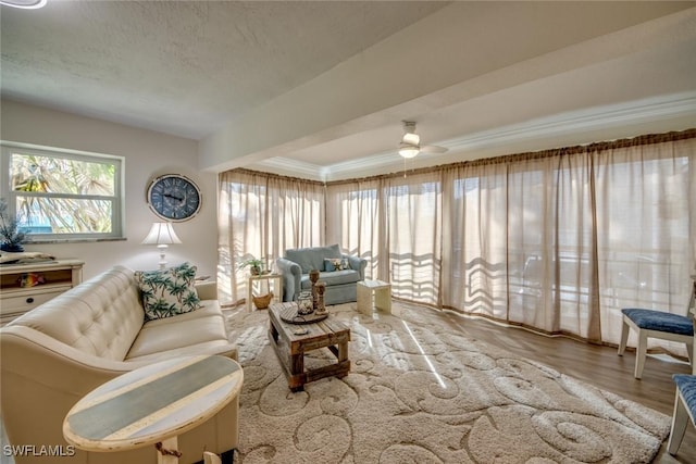 living room featuring ceiling fan, a textured ceiling, and wood finished floors