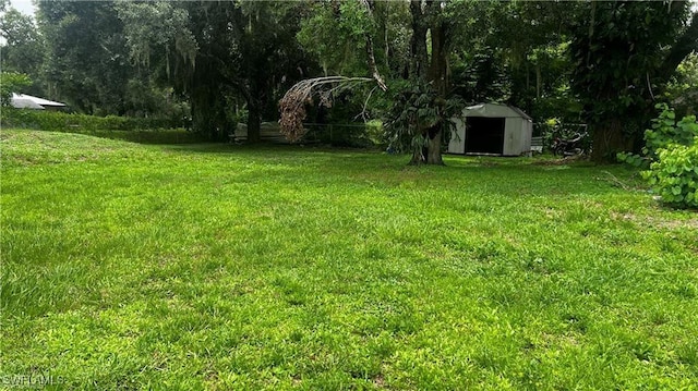 310 S Elm St, Labelle, FL 33935 - view of yard featuring an outdoor structure and a shed