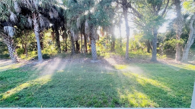 7725 Woodbrook Cir Unit 3503, Naples, FL 34104 - view of green lawn