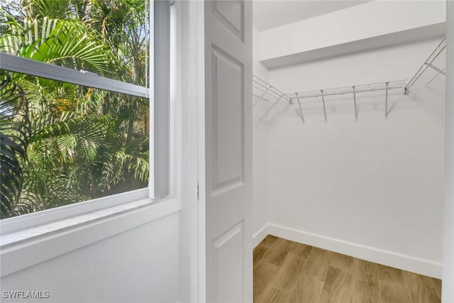 walk in closet with wood finished floors