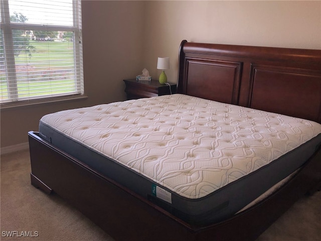 11510 Villa Grand Unit 418, Fort Myers, FL 33913 - bedroom with baseboards and carpet floors