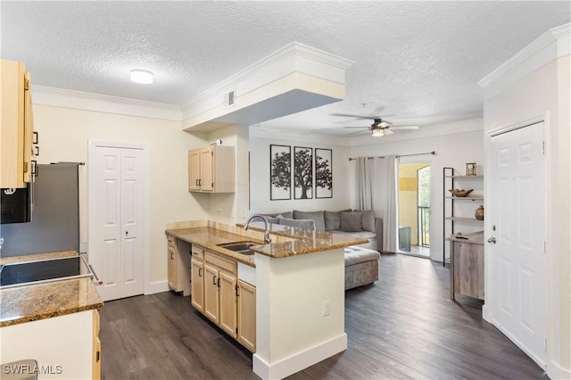 11520 Villa Grand Unit 1018, Fort Myers, FL 33913 - kitchen with a sink, open floor plan, freestanding refrigerator, a ceiling fan, and dark wood-style floors