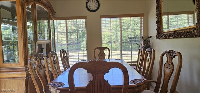 8051 Primrose Blvd, Labelle, FL 33935 - view of dining space