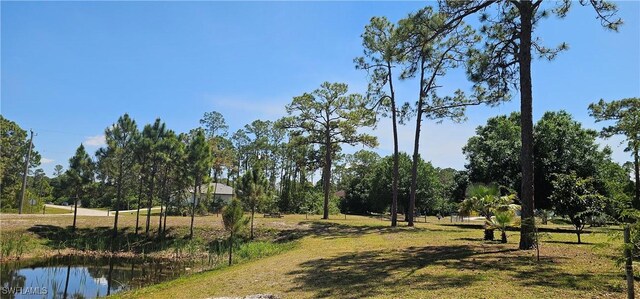 8051 Primrose Blvd, Labelle, FL 33935 - view of street with view of wooded area