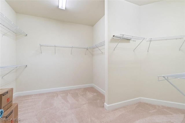6354 Achievement Ave, Ave Maria, FL 34142 - spacious closet featuring carpet flooring