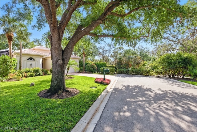 27549 Riverbank Dr, Bonita Springs, FL 34134 - view of street featuring curbs