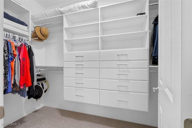 walk in closet featuring carpet