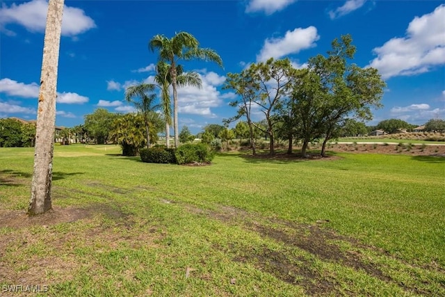 6025 Chardonnay Ln Unit 103, Naples, FL 34119 - view of yard