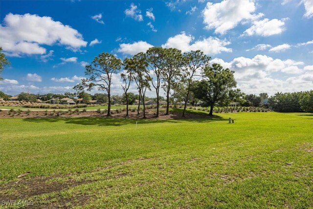 6025 Chardonnay Ln Unit 103, Naples, FL 34119 - view of yard