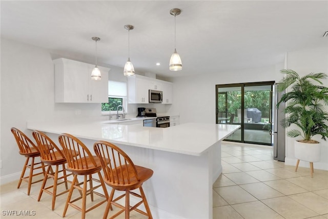 590 104th Ave N, Naples, FL 34108 - kitchen featuring stainless steel appliances, light countertops, and healthy amount of natural light