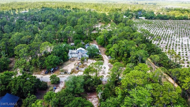 2321 Leroy Ave, Alva, FL 33920