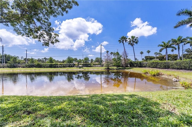 10028 Pacific Pines Ave, Fort Myers, FL 33966 - photo 26