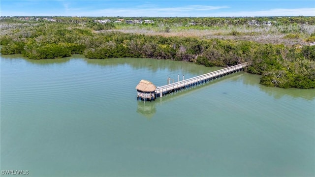 270 Naples Cove Dr Unit 3205, Naples, FL 34110 - aerial view featuring a water view