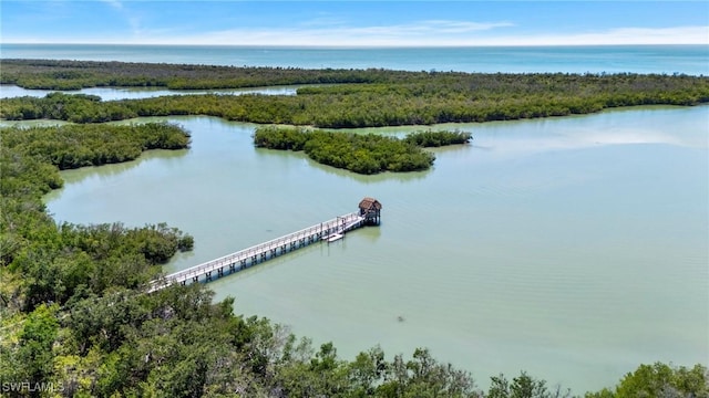 270 Naples Cove Dr Unit 3205, Naples, FL 34110 - bird's eye view with a water view