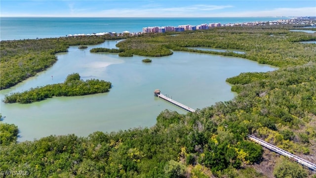 270 Naples Cove Dr Unit 3205, Naples, FL 34110 - aerial view with a water view and a view of trees