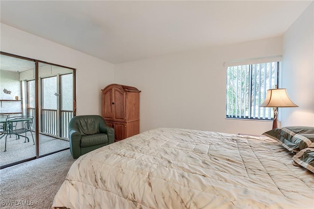 carpeted bedroom with access to outside and multiple windows