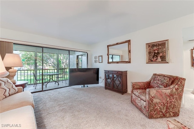 view of carpeted living area