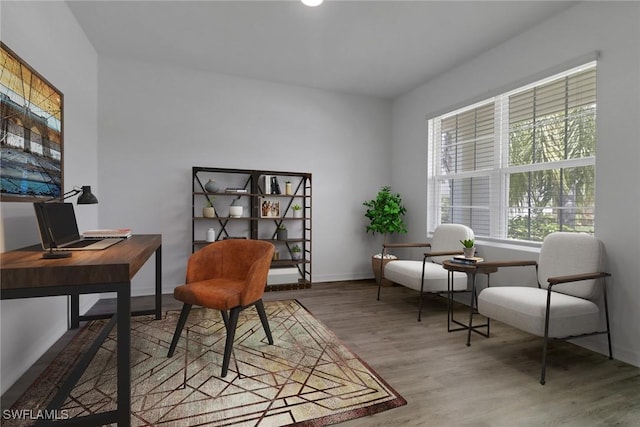 26974 Wildwood Pines Ln, Bonita Springs, FL 34135 - office space with wood finished floors and baseboards