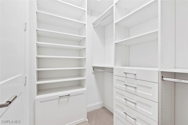 1111 Central Ave Unit 507, Naples, FL 34102 - spacious closet featuring light carpet