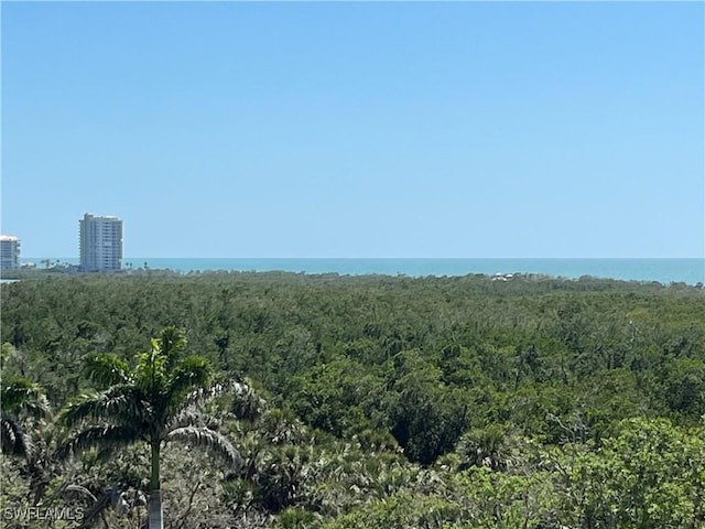 6361 Pelican Bay Blvd Unit 605, Naples, FL 34108 - view of local wilderness featuring a water view and a view of city